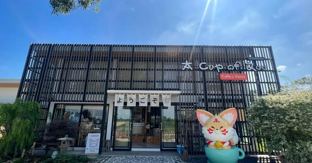 รีวิว อะคัฟ ออฟซู คาเฟ่ คาเฟ่สัตว์เลี้ยงสไตล์ญี่ปุ่น คลอง 5: สวรรค์ของคนรักสัตว์และคนชอบคาเฟ่