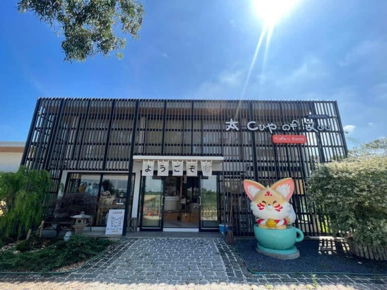 รีวิว อะคัฟ ออฟซู คาเฟ่ คาเฟ่สัตว์เลี้ยงสไตล์ญี่ปุ่น คลอง 5 สวรรค์ของคนรักสัตว์และคนชอบคาเฟ่